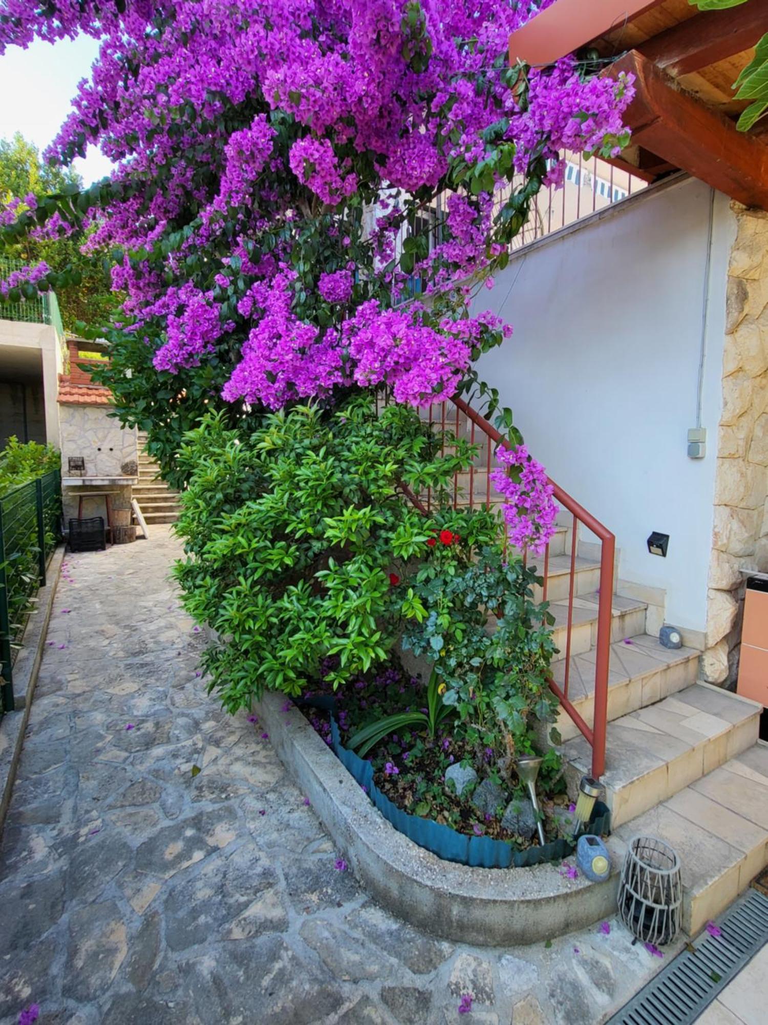 Planinić Apartament Rogoznica (Sibenik-Knin)